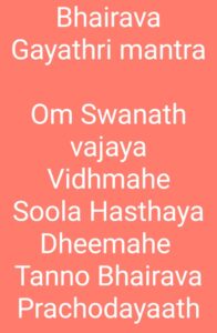 WhatsApp Image 2020 10 31 at 3.57.56 PM