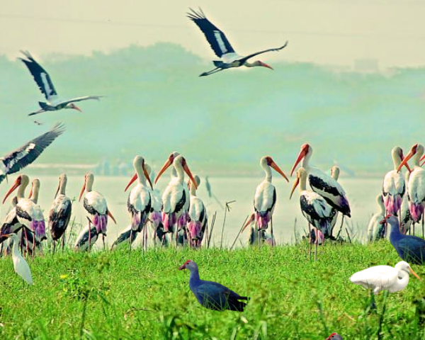 famous places in erode