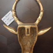 Brass Bull Face Wall Mount 9.5″