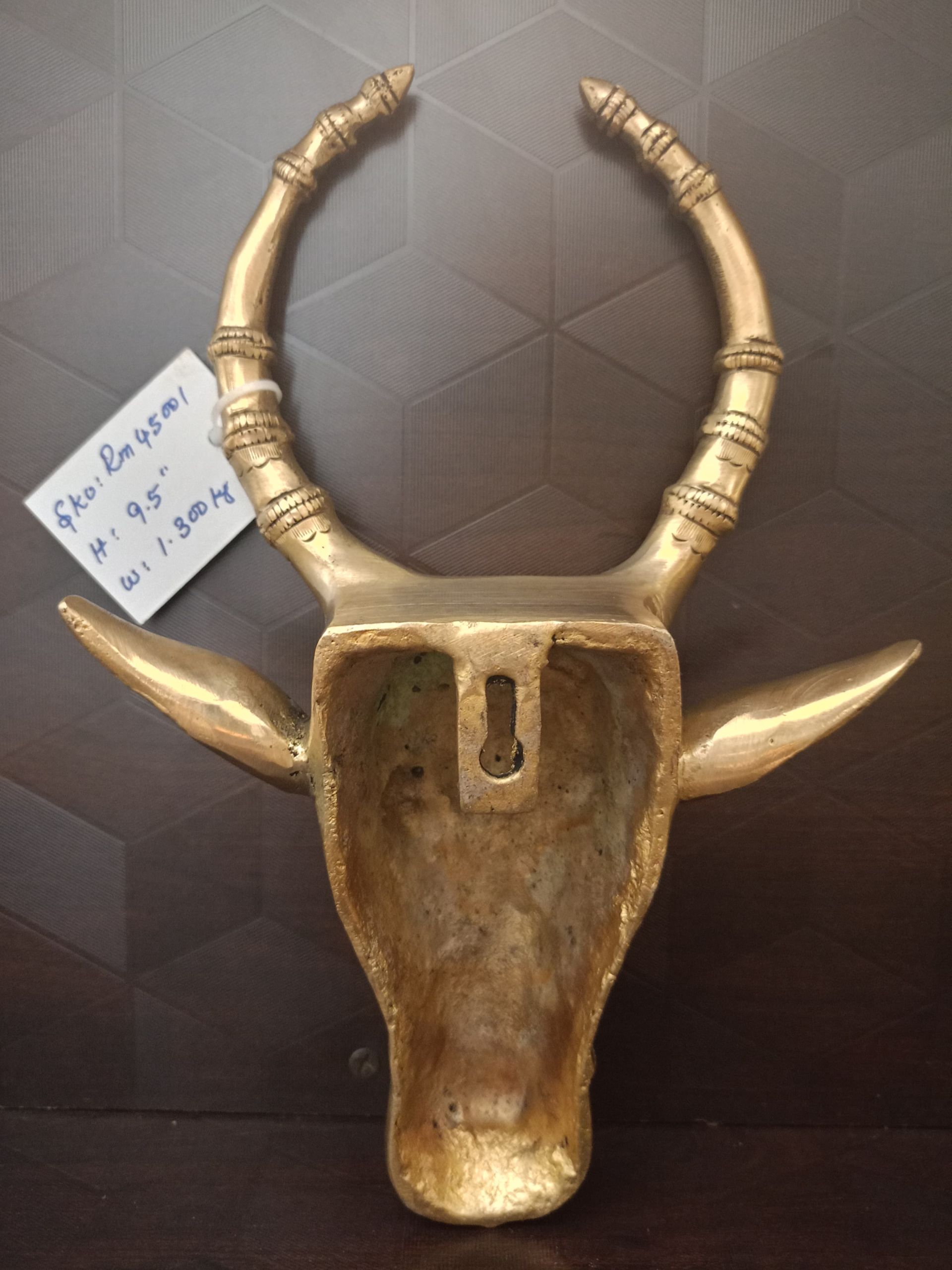 Brass Bull Face Wall Mount 9.5″