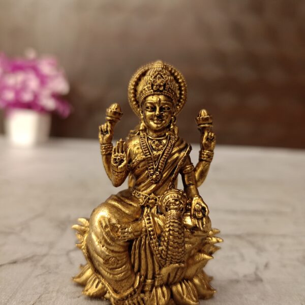 Brass Fine art Lotus Lakshmi idol